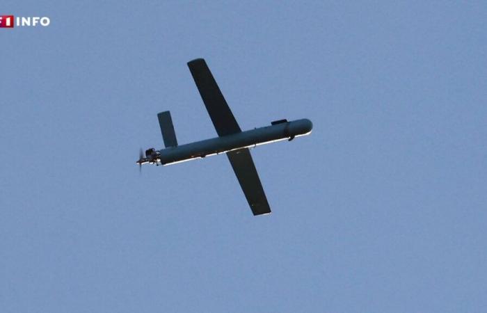 Ukraine: the “Hitch-Hiker”, this new drone that could change the situation on the front