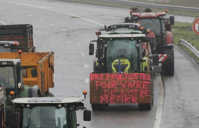 Mobilization of farmers: unhappiness is growing, the MSA reacts in Mayenne