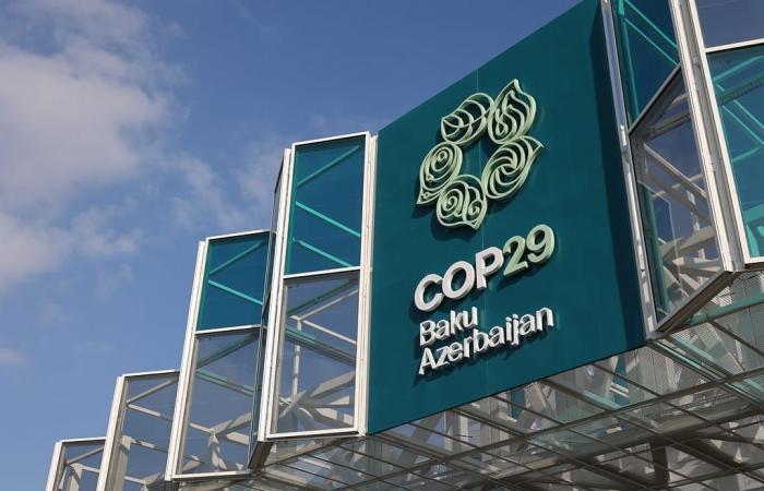 COP29 in Baku: what results?