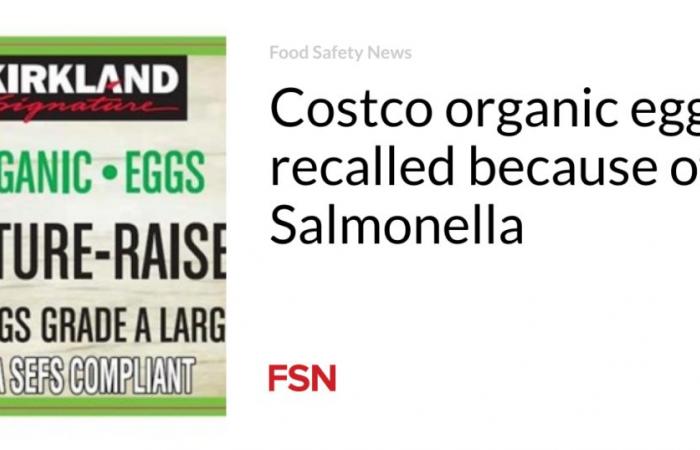 Costco organic eggs recalled because of Salmonella