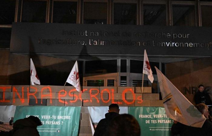 Farmers symbolically block several public buildings, Minister Annie Genevard “condemns any attack on people and property”