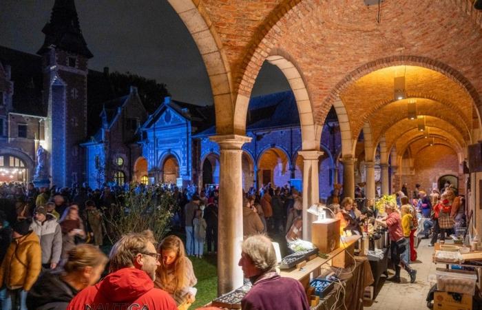 Offer of three million euros was not accepted, today the starting price is 500,000 euros: the famous Antwerp castle is (still) for sale