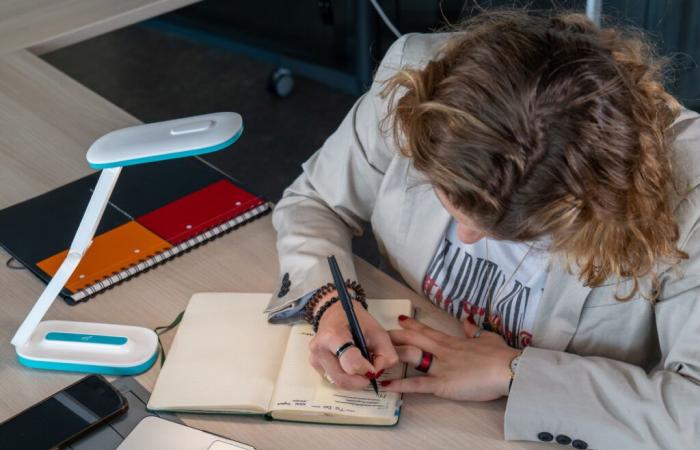 Rouen: Lili, a lamp to see reading in pink when you are dyslexic