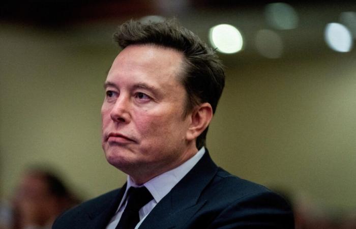 Elon Musk publicly targets civil servants he wants to fire