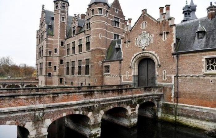 Offer of three million euros was not accepted, today the starting price is 500,000 euros: the famous Antwerp castle is (still) for sale