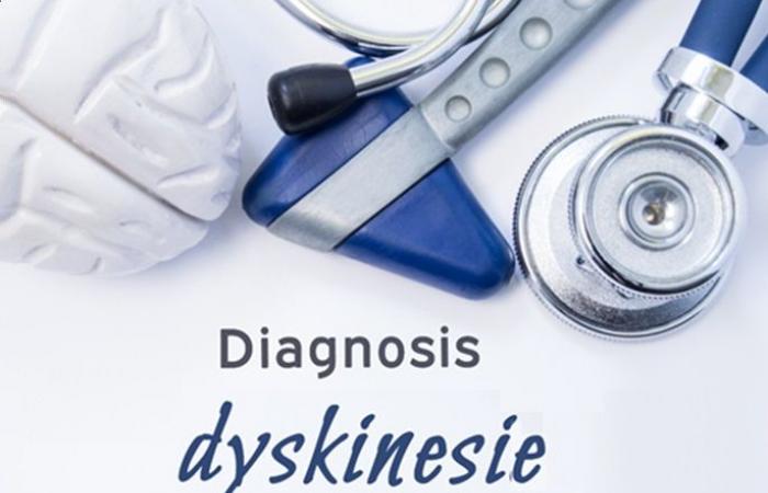 POLLUTION and PARKINSON: The strong correlation of the risk of dyskinesia