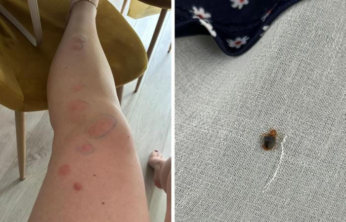 Paris-Aurillac night trains infested with bedbugs