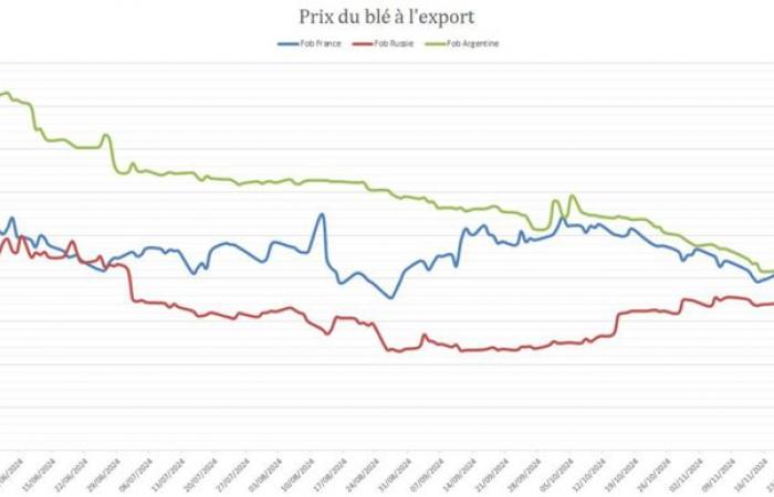 French wheat remains uncompetitive