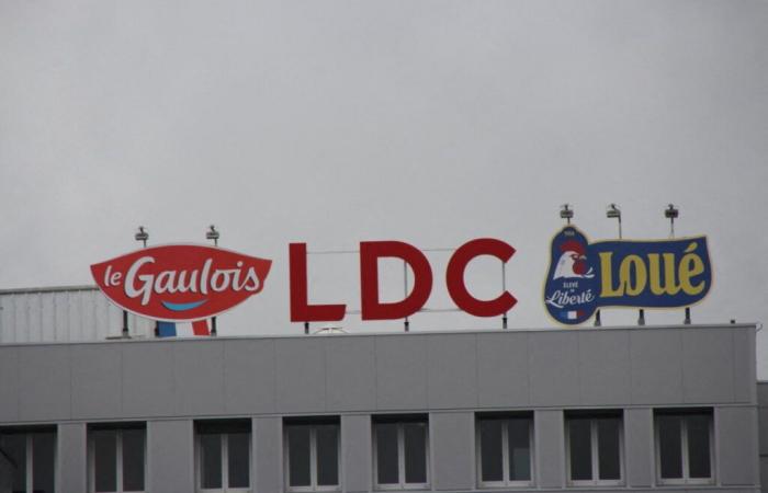 The LDC poultry group, based in Sablé-sur-Sarthe, is intensifying its company buyout policy