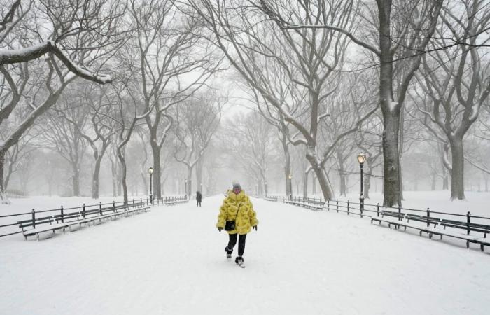 Winter Weather Warnings in 8 States As 12 Inches of Snow To Hit