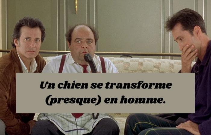 impossible to recognize these 10 French comedies from the 90s (very) poorly summarized