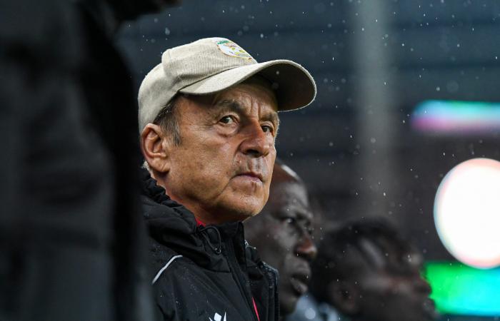 Gernot Rohr: “Yes, if we had not qualified for the CAN, I would have offered my resignation”