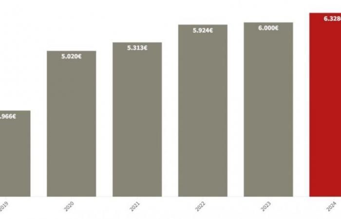 How has the average amount of premiums changed in 2024 in Belgium? (infographics)