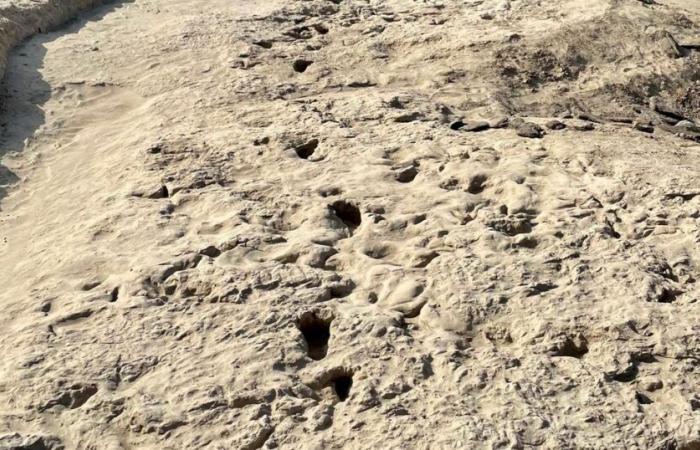 1.5 million-year-old footprints pose new enigma in human history