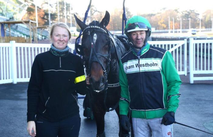 Prix ​​de Bourigny (Quinté+): Working Class Hero, a winning return!