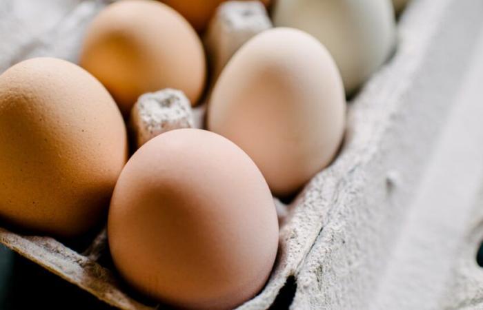 Organic eggs sold at Costco recalled over salmonella concerns