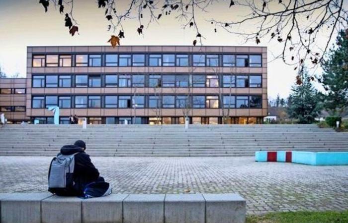 Vaud: cropped for having worn the veil in front of the gymnasiums