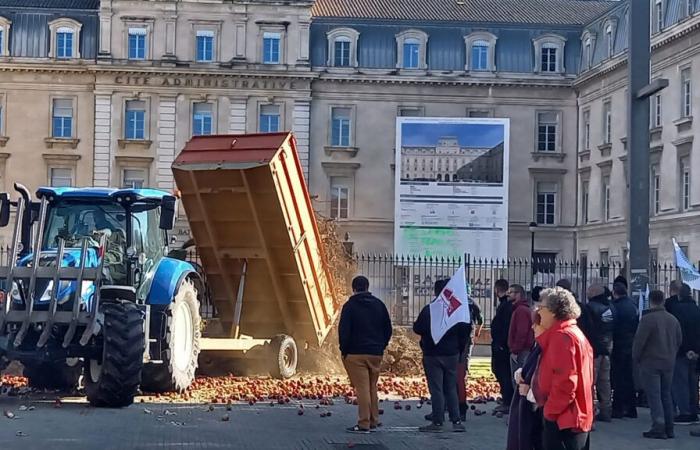 Avignon: the administrative city and the MSA double target for farmers