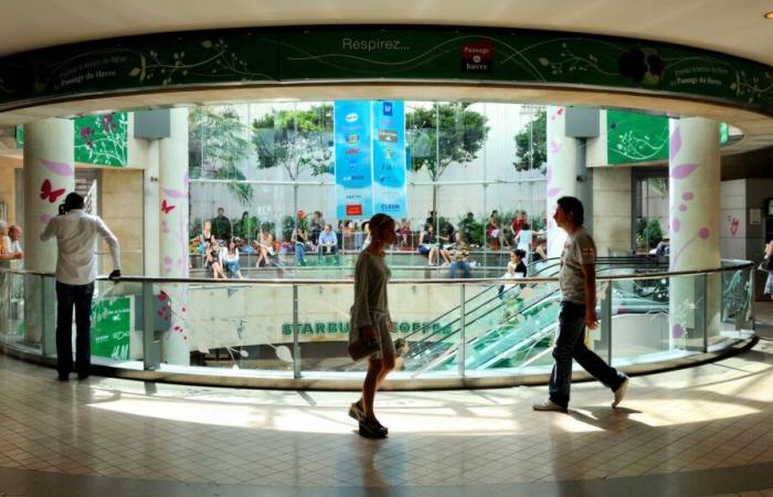 A child seriously injured after falling from an escalator in a shopping center in Paris