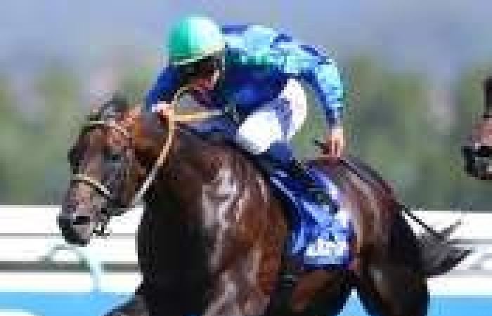 Free PARISLONGCHAMP PRICE prediction