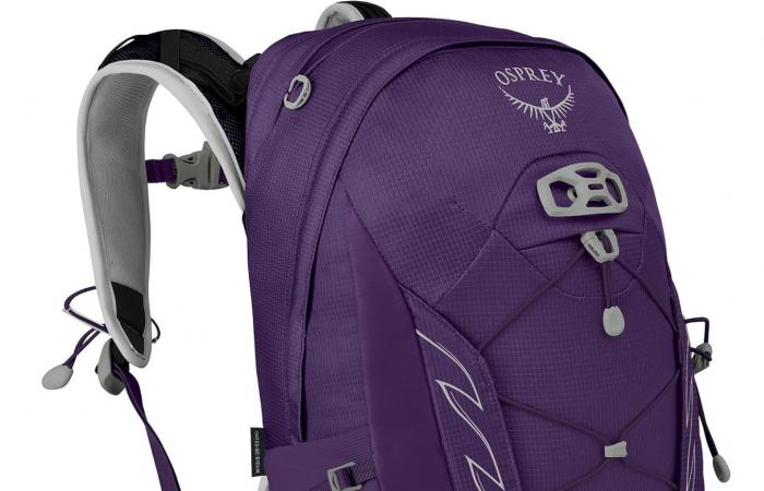 8 Osprey Backpacks at Really Discounted Prices for Black Friday