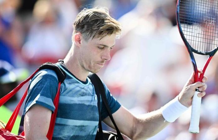 After the Jannik Sinner affair, the Iga Swiatek affair also makes people unhappy, including Denis Shapovalov