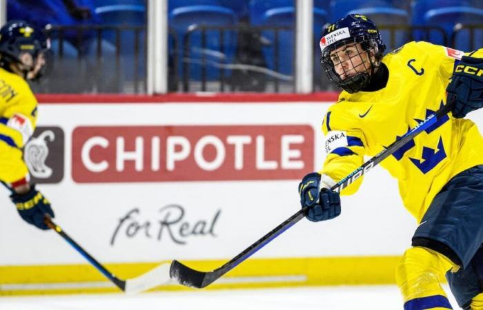 LPHF: the Swedish captain puts down roots in Montreal