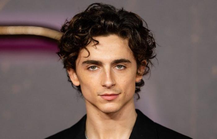 Timothée Chalamet could have starred in Gladiator 2, but Ridley Scott decided otherwise after seeing this series