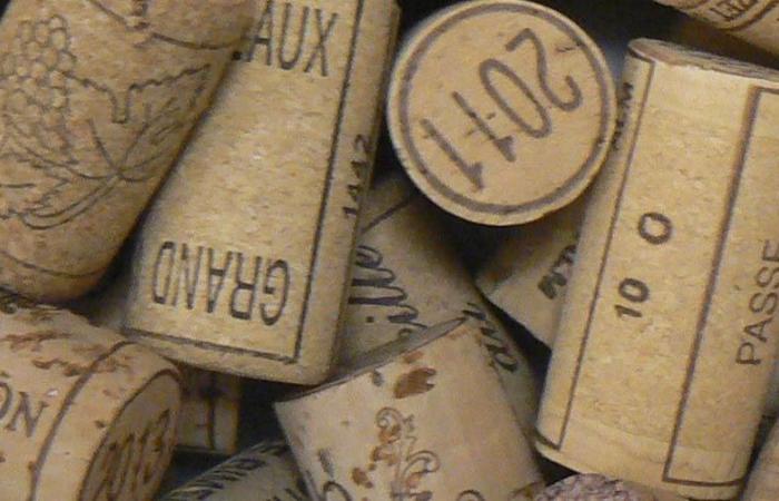 Le Liège Gascon: An association that promotes cork in the South-West