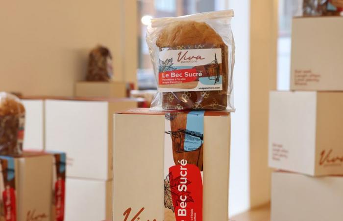 New | Viva panettone settles in the Iconoglace premises