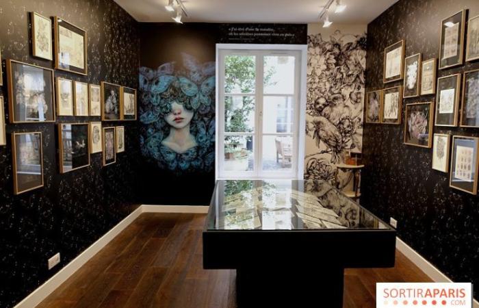 Benjamin Lacombe presents “Papillon Noir”, the free exhibition at the Galerie Gallimard, our photos