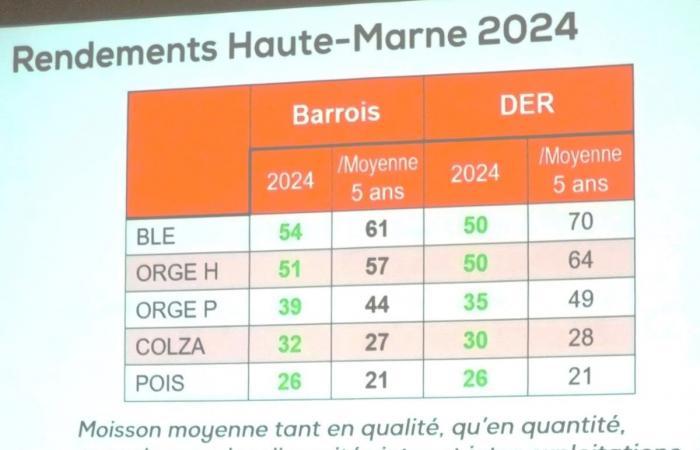 Agricultural situation in Nord-Haute-Marne for 2024: a mixed assessment