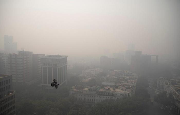 Air pollution from fires linked to 1.5 million deaths per year, according to study published by “The Lancet”