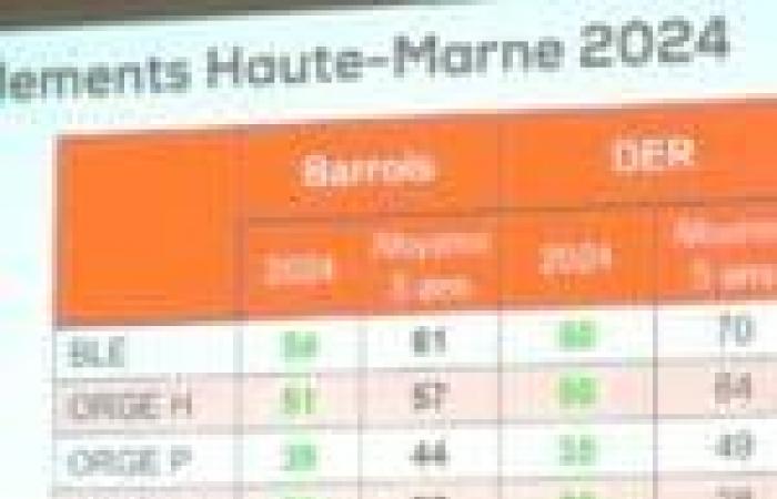 Agricultural situation in Nord-Haute-Marne for 2024: a mixed assessment