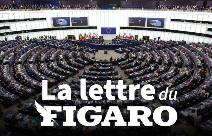 The Figaro letter of November 28, 2024