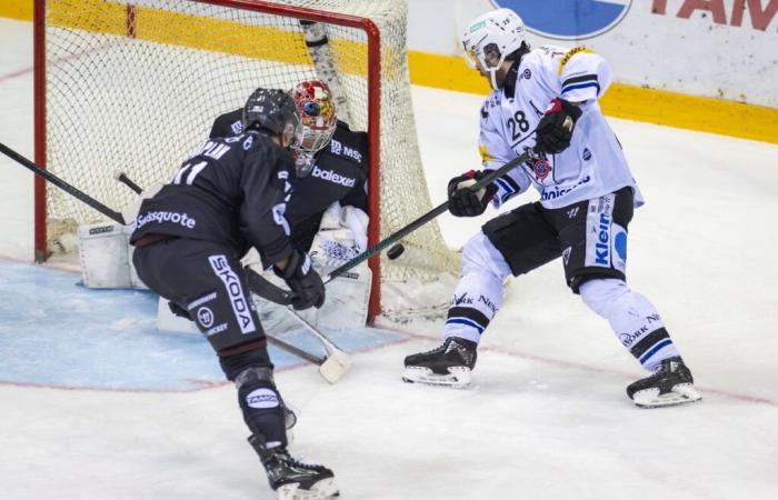 Hockey: Genève-Servette wins its duel against Friborg