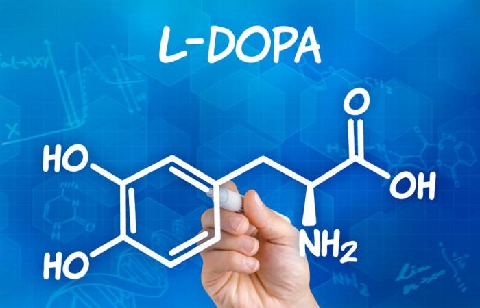 ALZHEIMER: Is dopamine (L-Dopa) also effective?