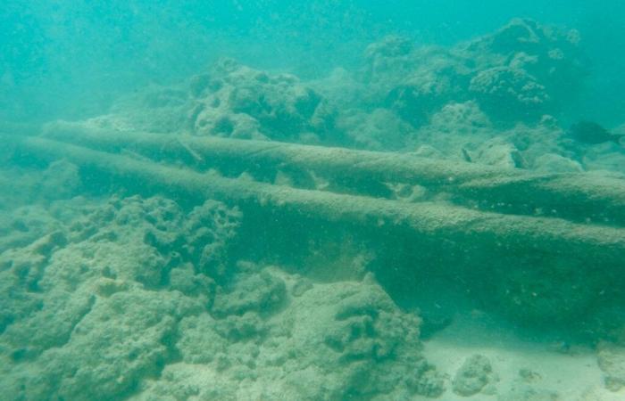 Submarine cables sabotaged in Europe: we know the culprit