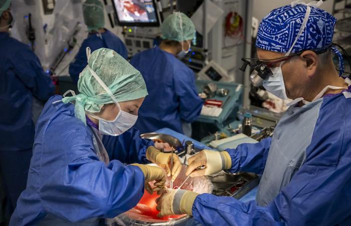 The number of transplants reaches records in 2023 in Switzerland