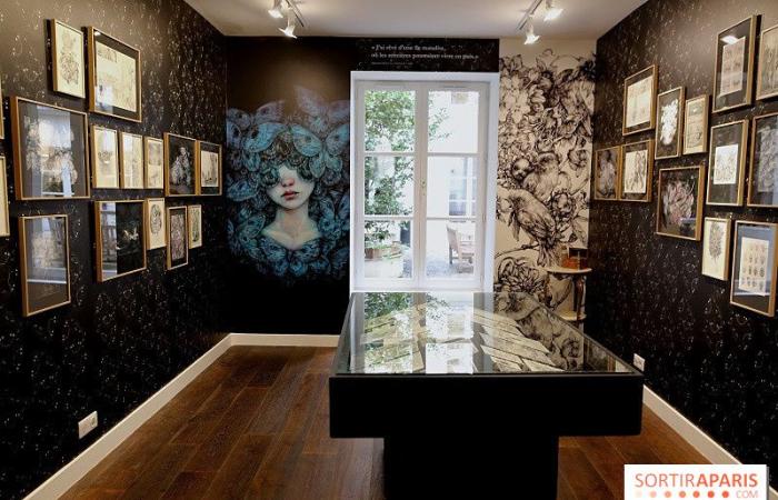 Benjamin Lacombe presents “Papillon Noir”, the free exhibition at the Galerie Gallimard, our photos