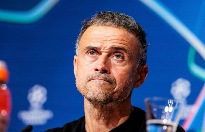 PSG: Luis Enrique fails “one of the best in Europe”, he is hallucinating