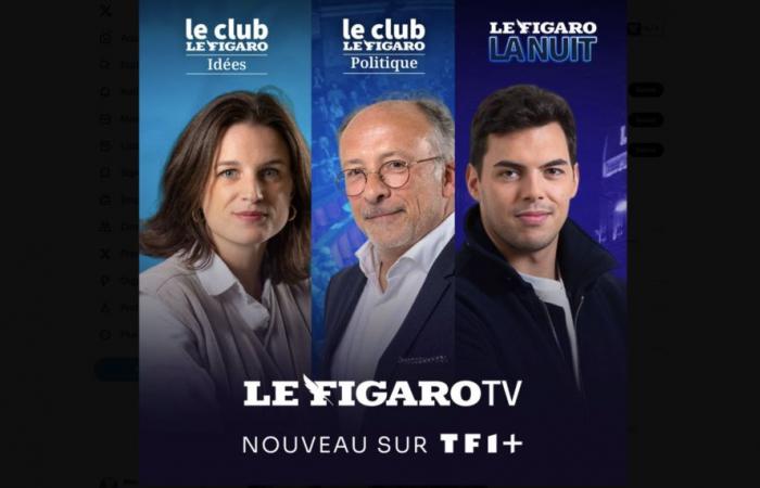 TF1+ continues to grow with the integration of the Figaro TV channel and its content