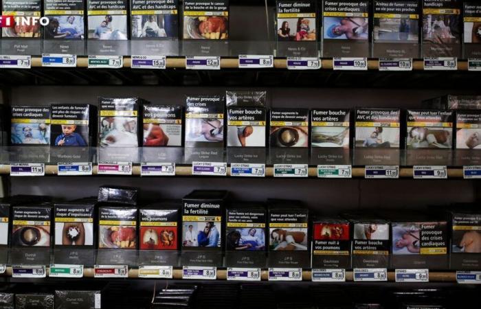 Tobacco: will the price of cigarette packs increase in 2025?