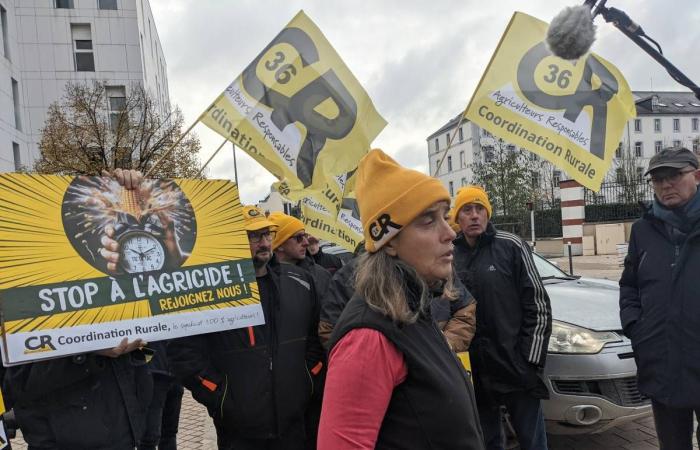 The farmers' demonstration in Orléans ends: “We get nothing, they hope we demobilize”