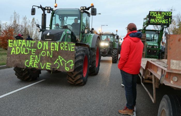 TESTIMONIALS. Is low-carbon agriculture still possible? 7,700 farmers consulted throughout France