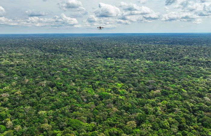 Results of the XPRIZE Rainforest competition: the Brazilian team rewarded!