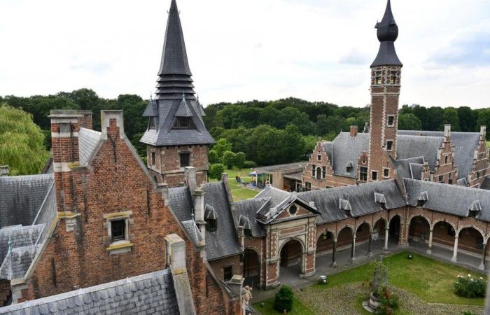 Offer of three million euros was not accepted, today the starting price is 500,000 euros: the famous Antwerp castle is (still) for sale