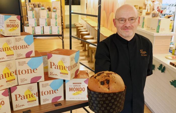 New | Viva panettone settles in the Iconoglace premises