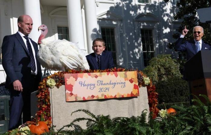 for Thanksgiving, authorities advise against brining your turkey in the Great Salt Lake