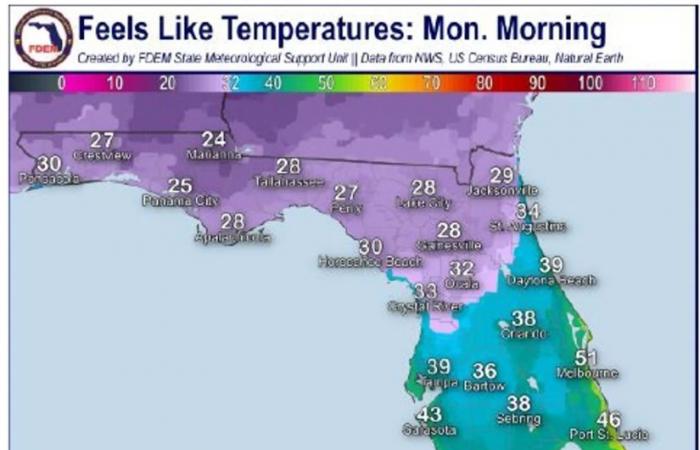 Map Shows Florida Cities Set to Freeze as Polar Cold Front Strikes